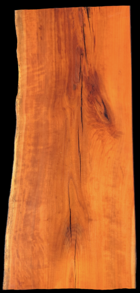 Cherry 45” x 20” $450