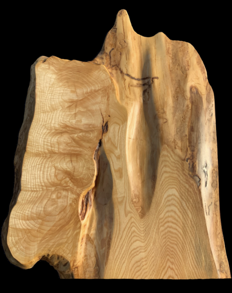 Ash Burl 35” x 26” $800