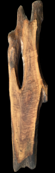 Black Walnut 103” x 29” $1800